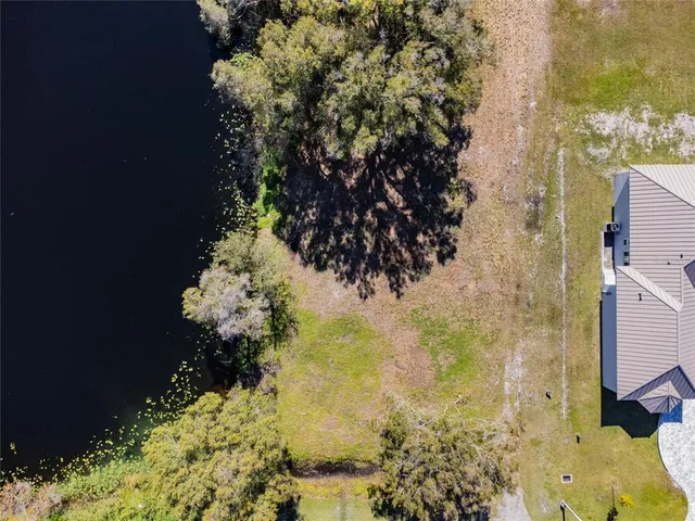 a vase of flowers and flowers