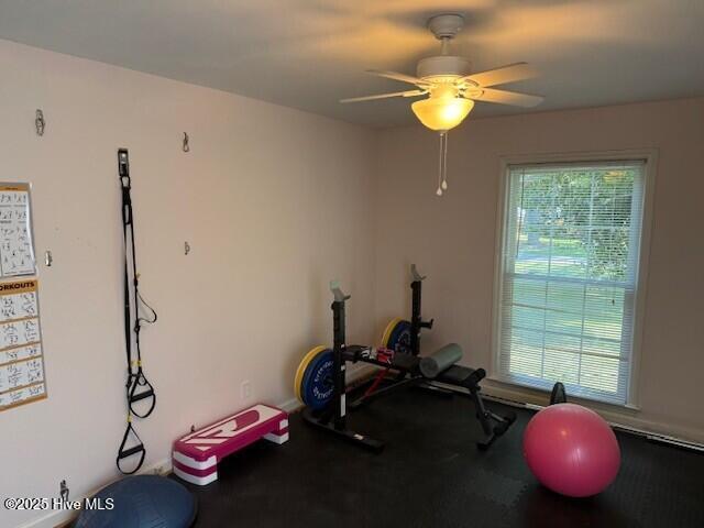 113 Clarendon Road Ahoskie, NC 27910 - Photo 23 of 28 3
