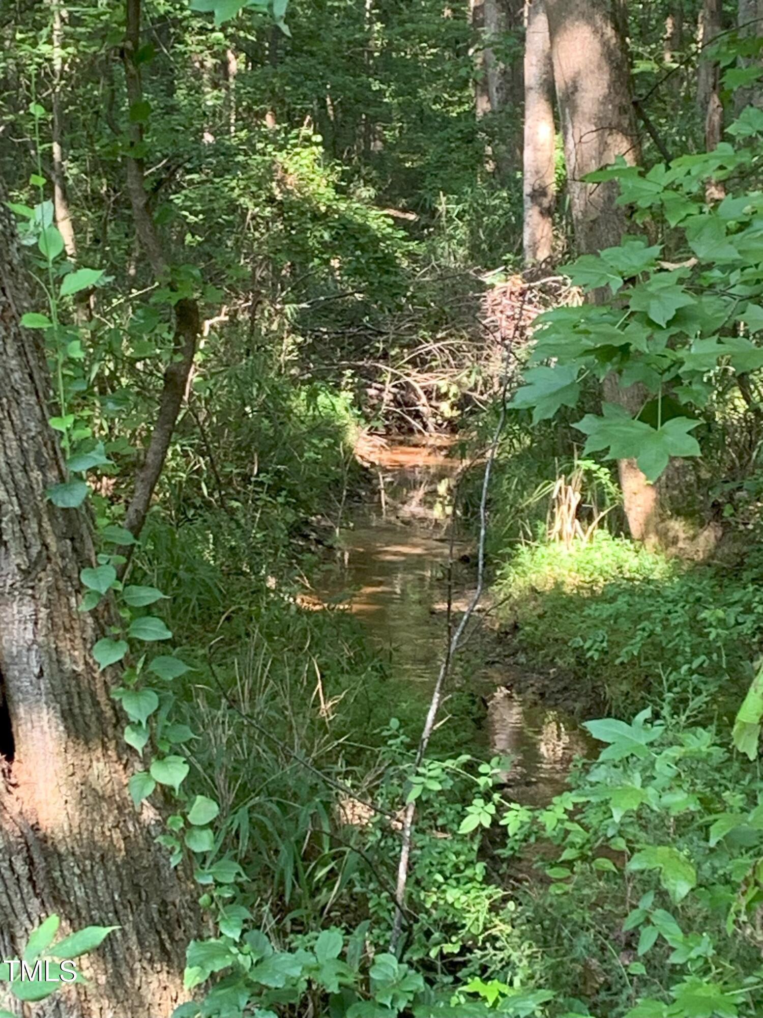 0 Long Street Fuquay-Varina, NC 27526 - Photo 5 of 9 a backyard of a building with lots of green space and trees all around