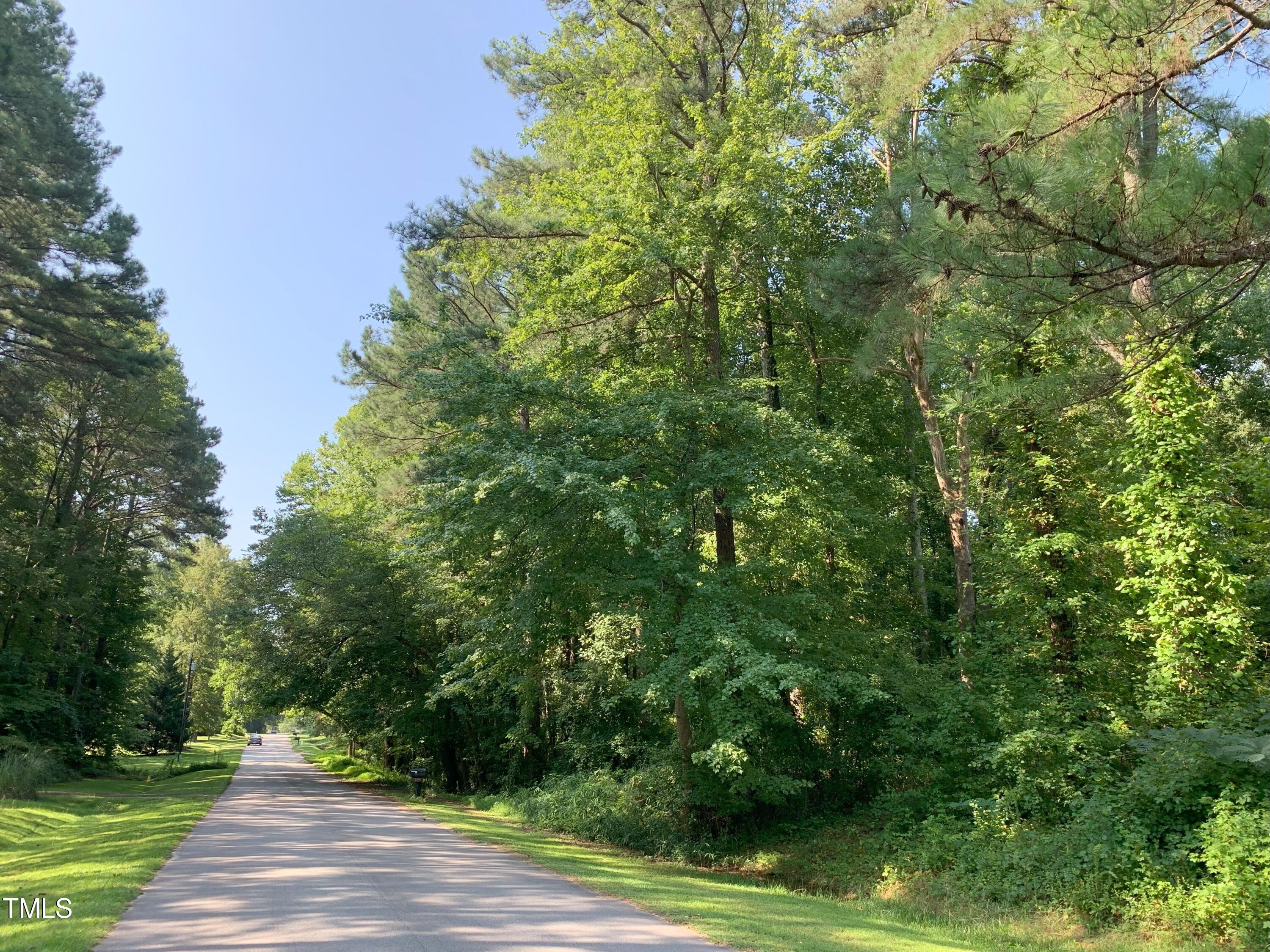 0 Long Street Fuquay-Varina, NC 27526 - Photo 6 of 9 a view of a yard with plants and large trees