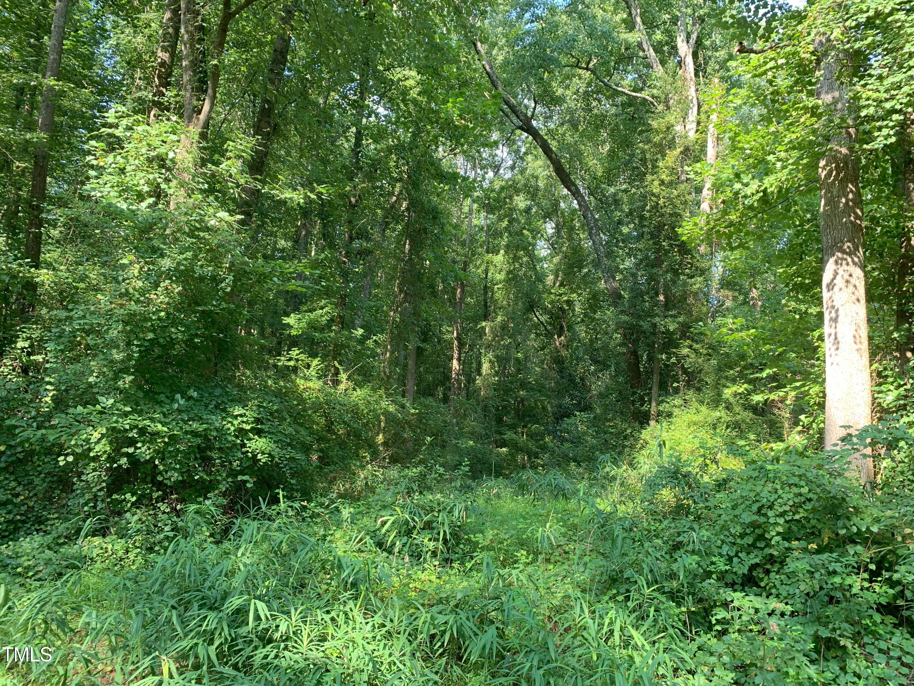 0 Long Street Fuquay-Varina, NC 27526 - Photo 9 of 9 a view of a lush green forest
