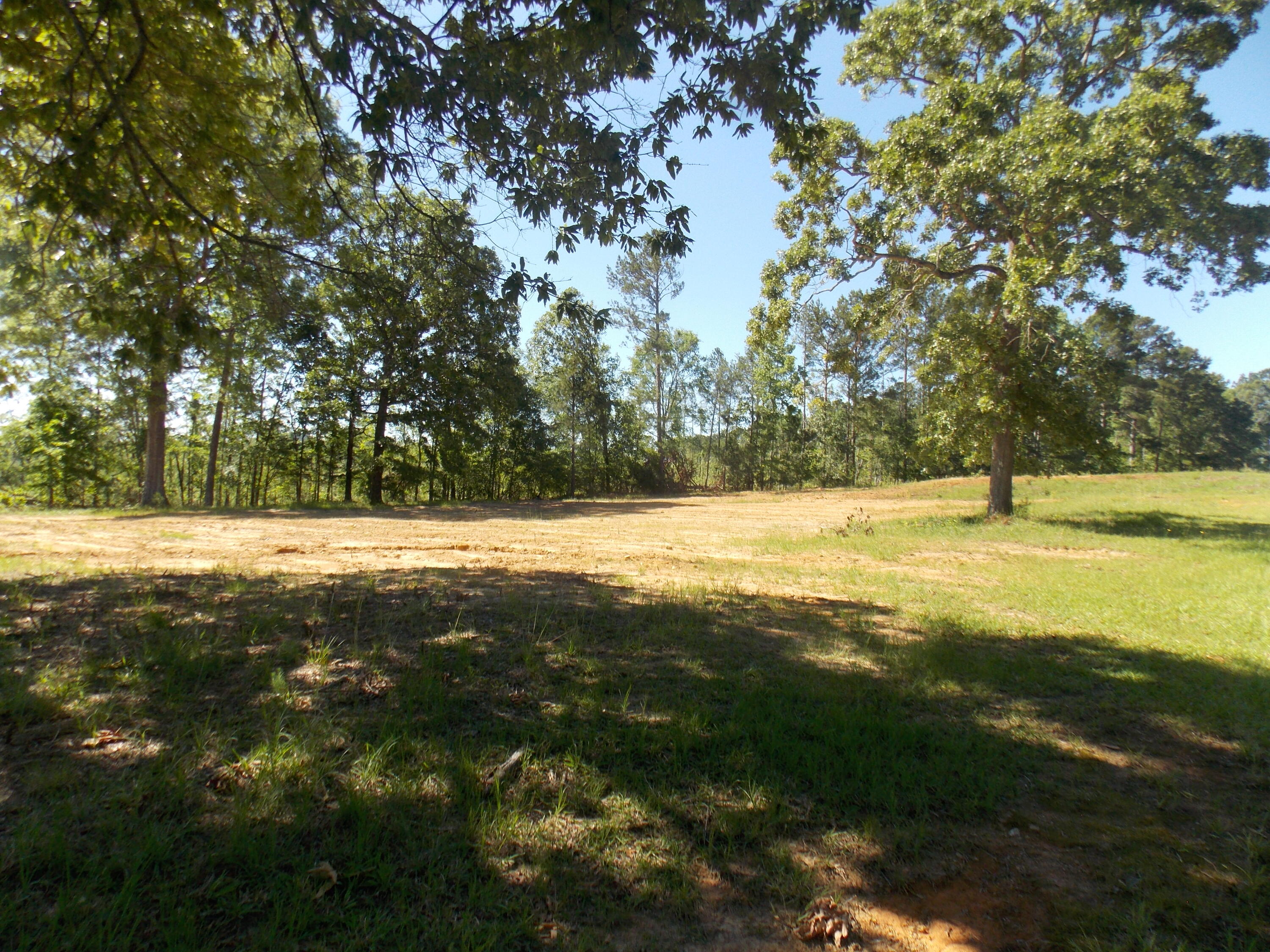 0 C E Norman Road Lincolnton, GA 30817 - Photo 4 of 7 DSCN3409