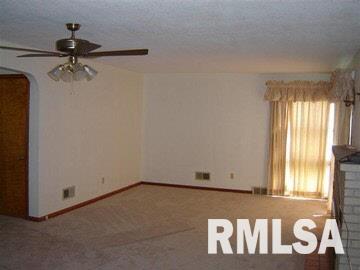 704 South Main Street Belle Rive, IL 62810 - Photo 3 of 13