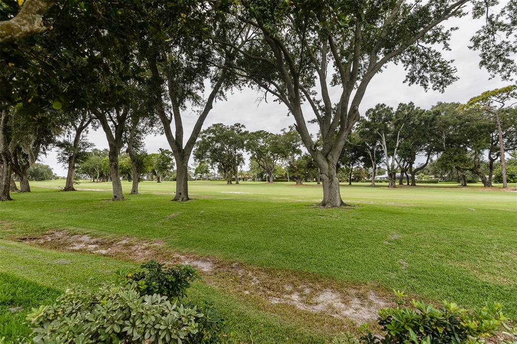3230 Sandy Ridge Drive Clearwater, FL 33761 - Photo 61 of 66