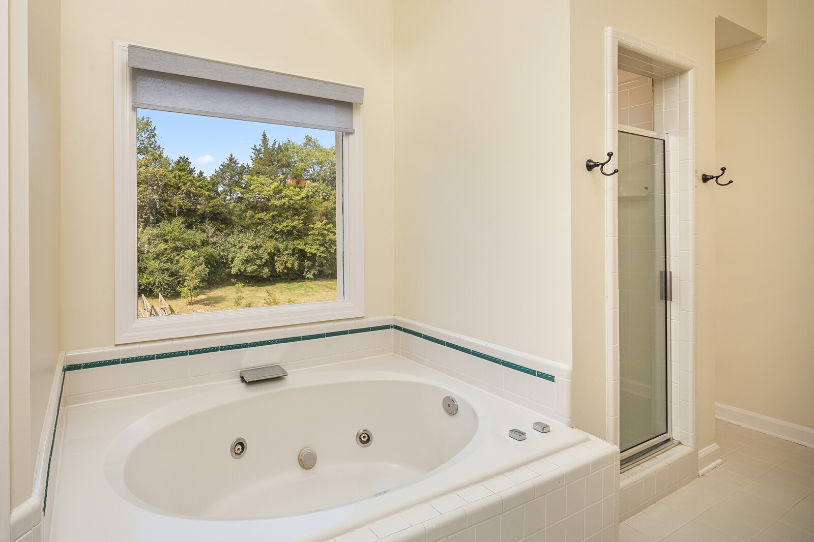 341 Sandcastle Road Franklin, TN 37069 - Photo 22 of 41 a bathroom with a tub and a window