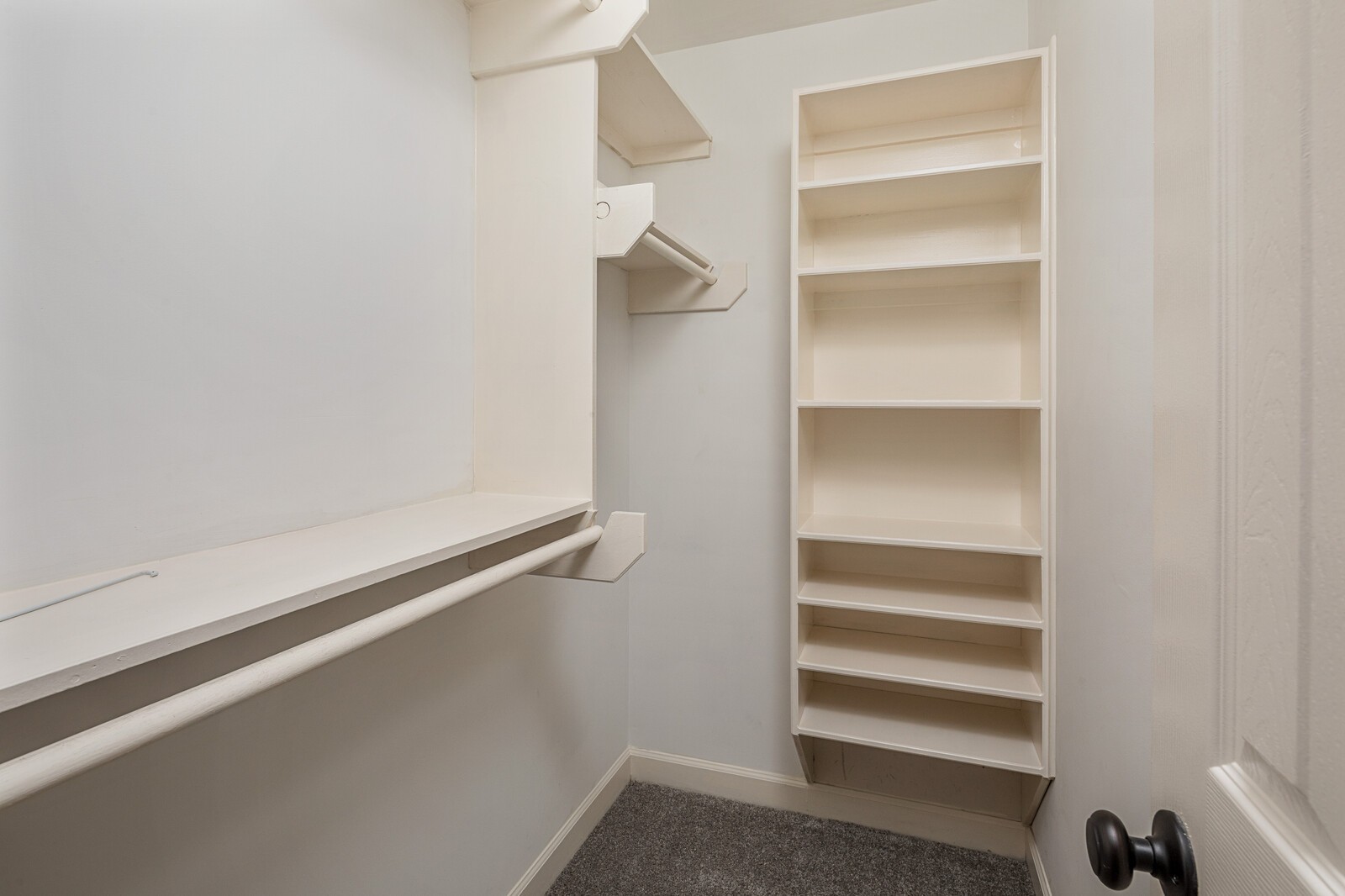 341 Sandcastle Road Franklin, TN 37069 - Photo 24 of 41 a view of walk in closet with empty racks