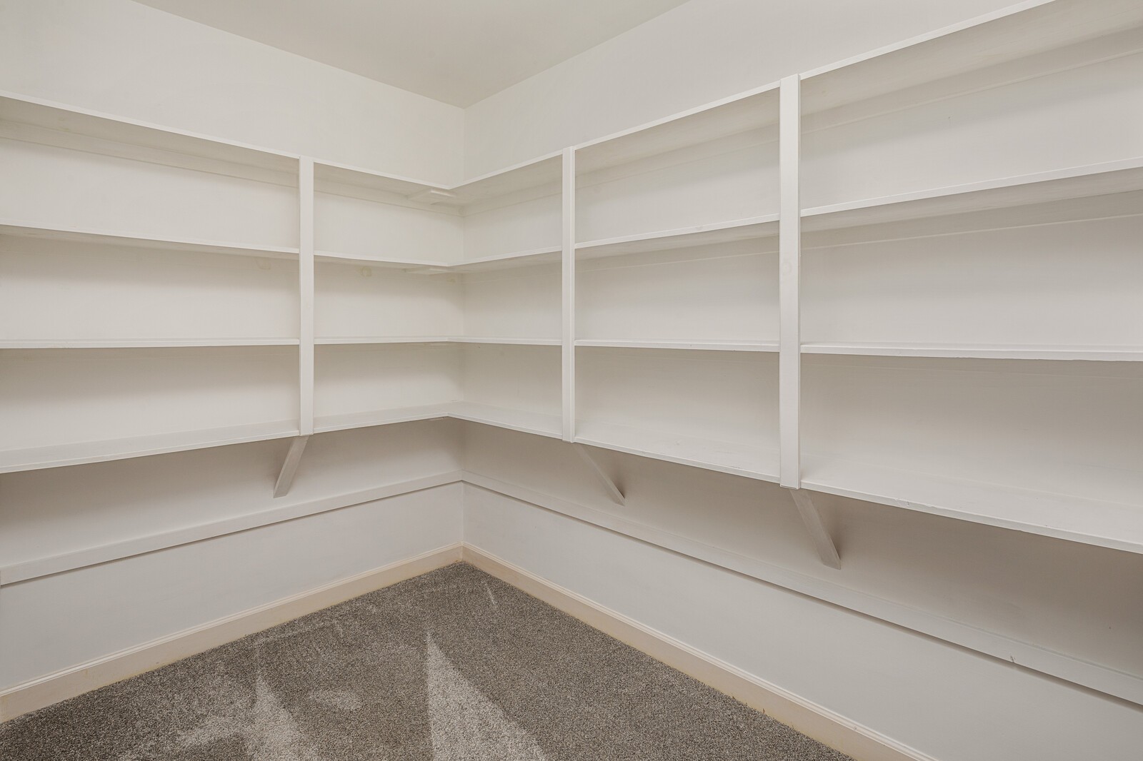 341 Sandcastle Road Franklin, TN 37069 - Photo 32 of 41 a storage room with empty racks