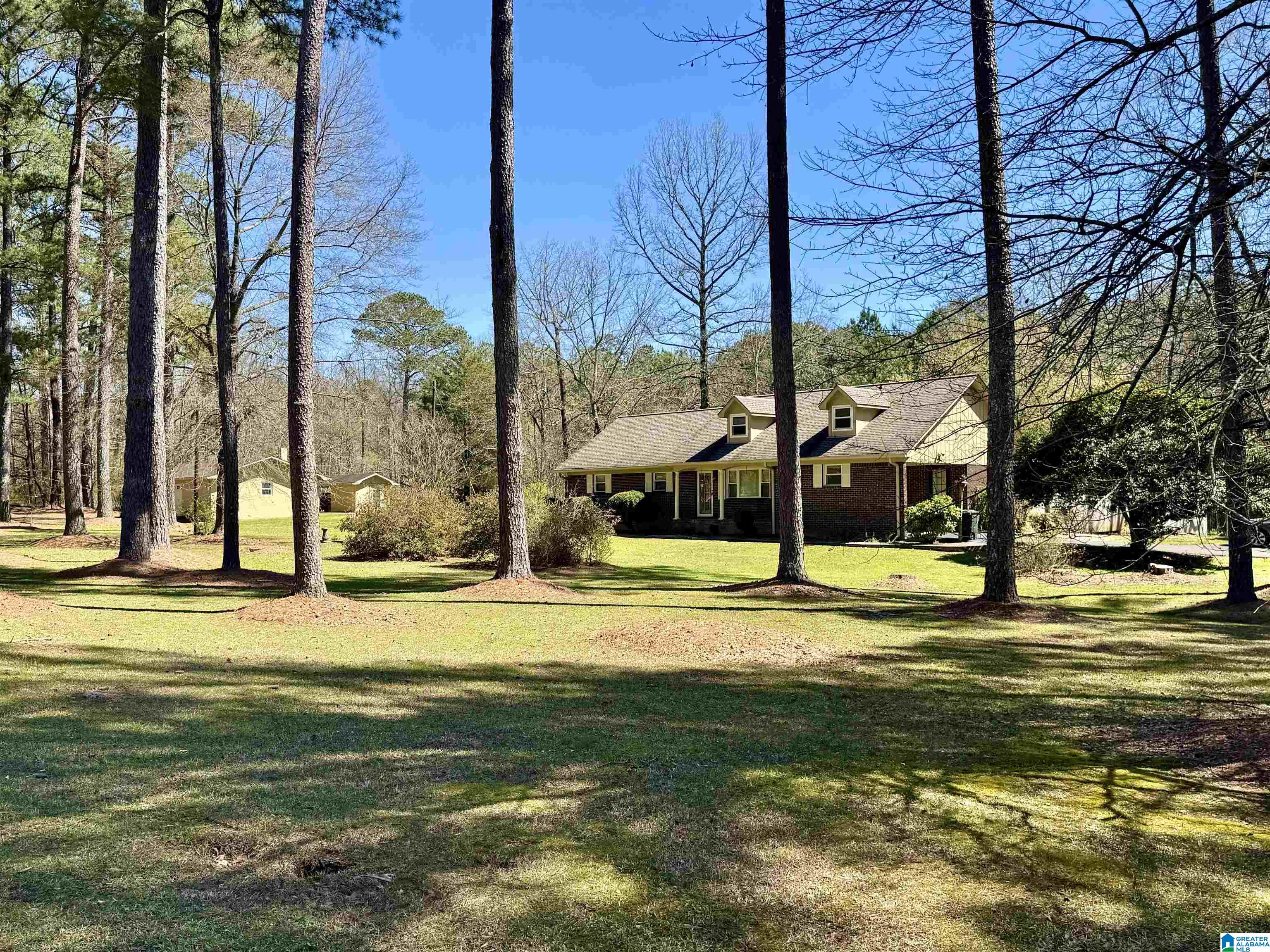 41 Armstrong Loop Hayden, AL 35079 - Photo 4 of 49