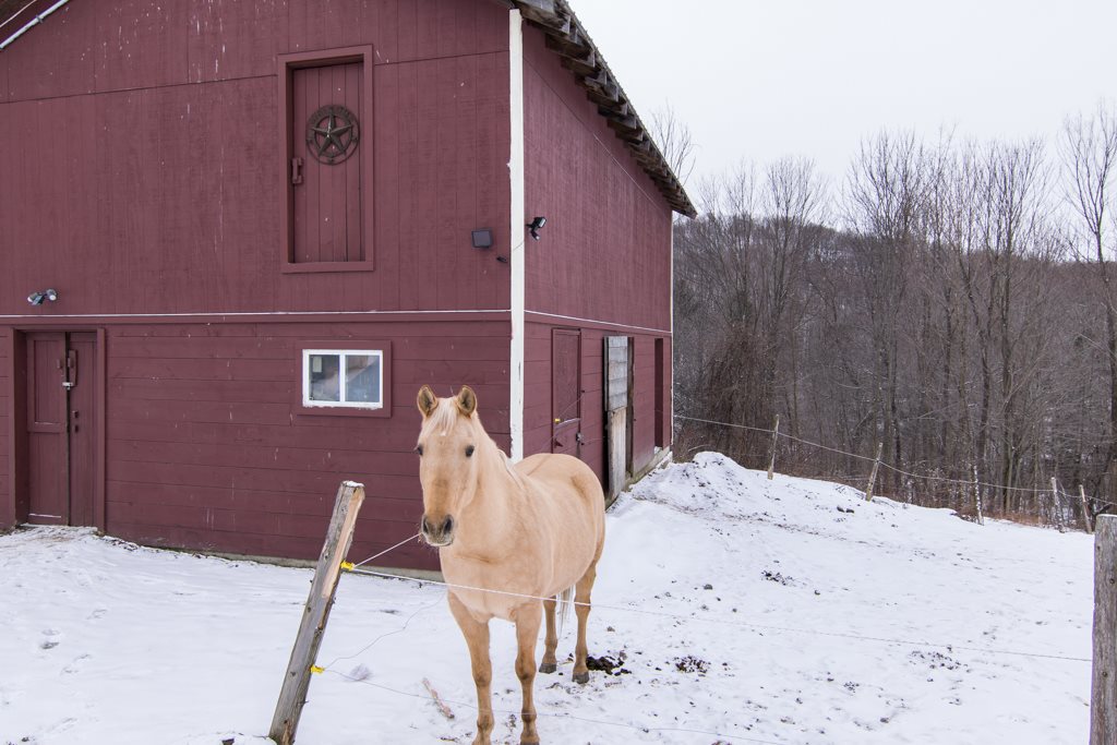 369 Poker Hill Road Underhill, VT 05489 - Photo 8 of 40 Gallery Image 8