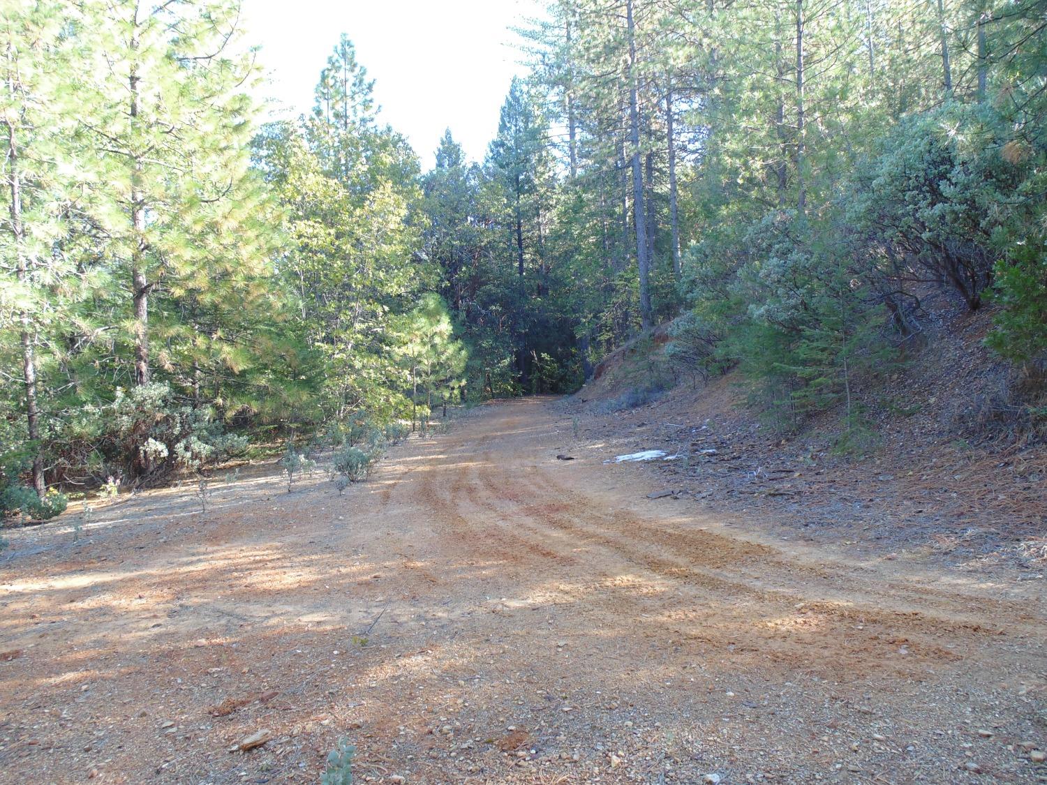 35 Balderston Road Georgetown, CA 95634 - Photo 32 of 37 a view of a dirt road with trees in the background