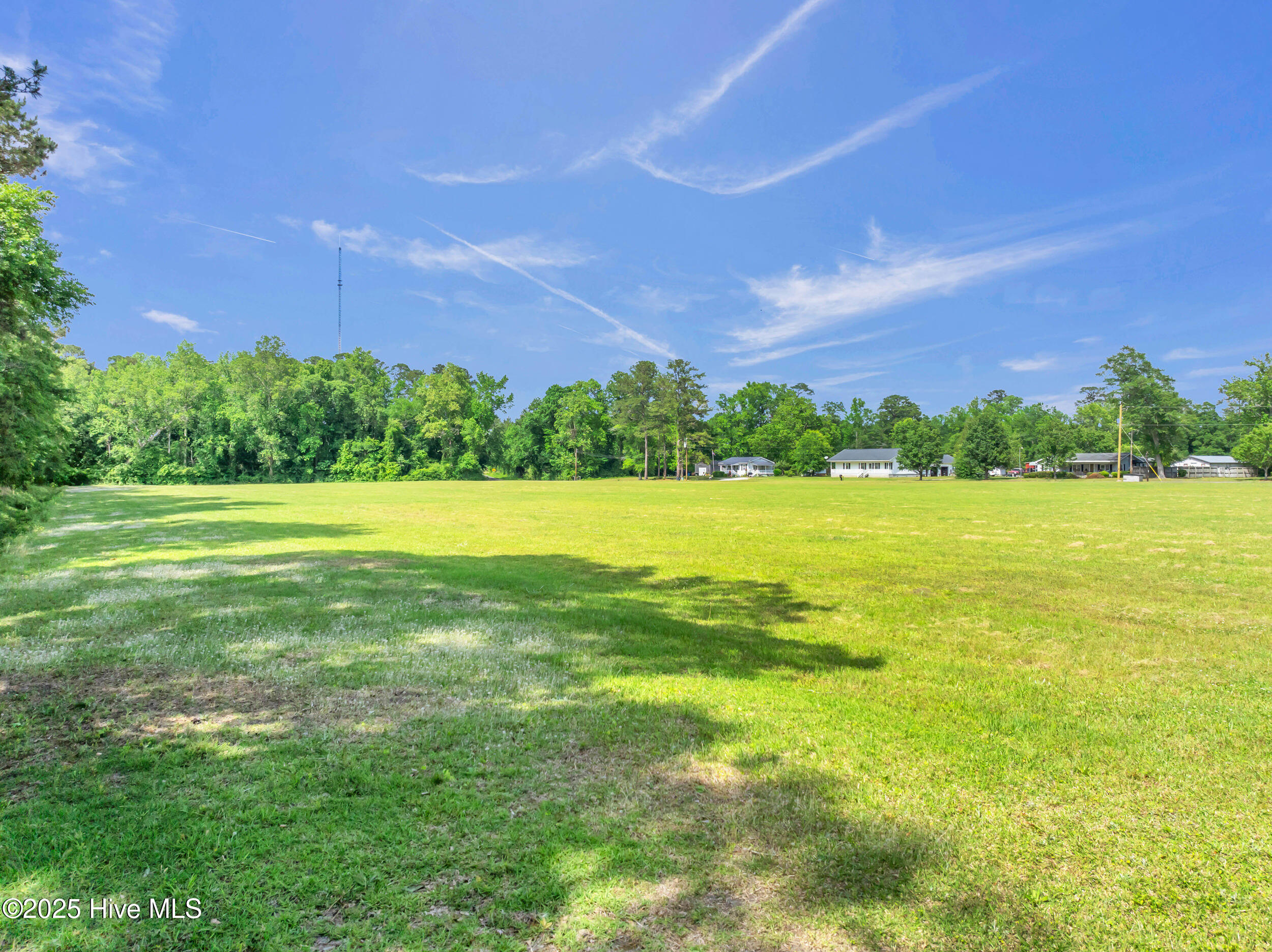 506 Dew Oil Plant Road Delco, NC 28436 - Photo 59 of 61 506dewoilplantrd00059