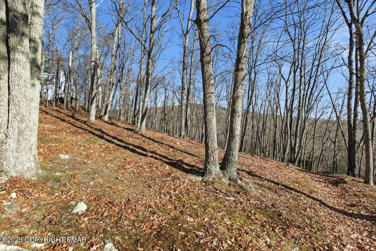 7 Exeter Court Bushkill, PA 18324 - Photo 12 of 15 a view of a backyard of the house