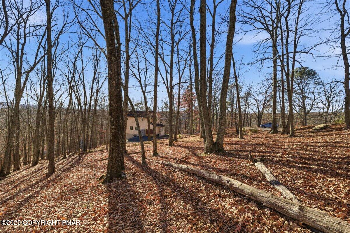 7 Exeter Court Bushkill, PA 18324 - Photo 14 of 15 a backyard of a house with lots of green space