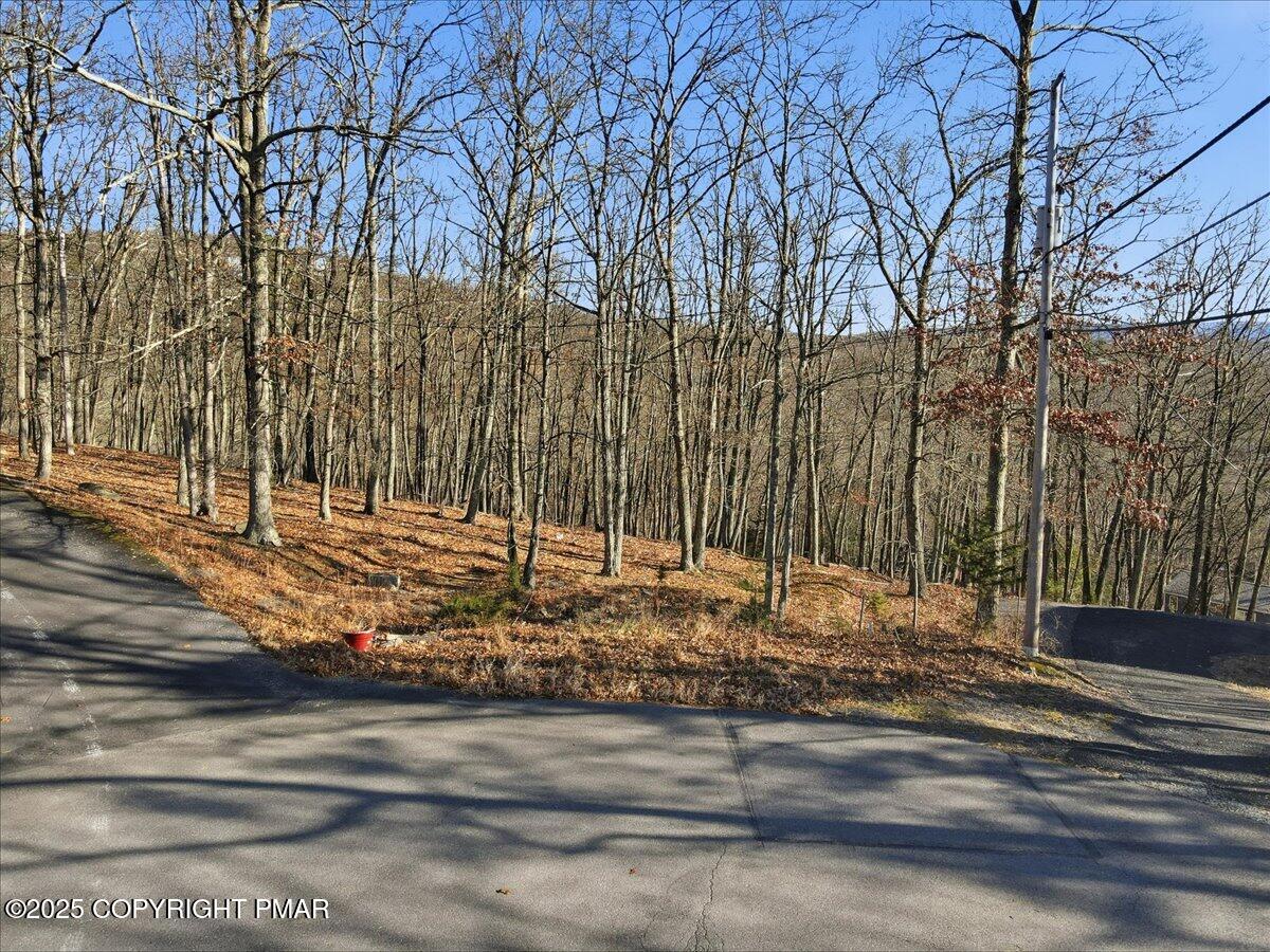 7 Exeter Court Bushkill, PA 18324 - Photo 4 of 15 a view of a backyard of the house