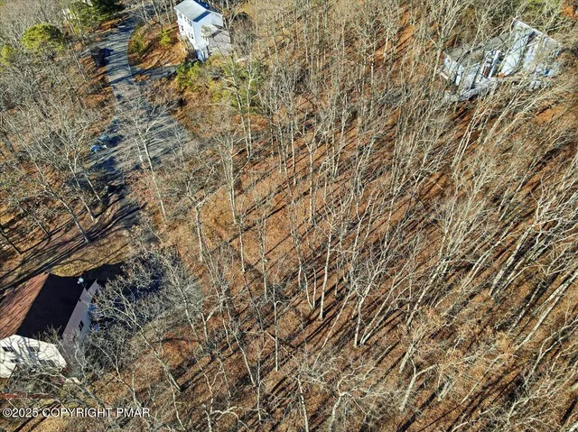 an aerial view of mountain with trees