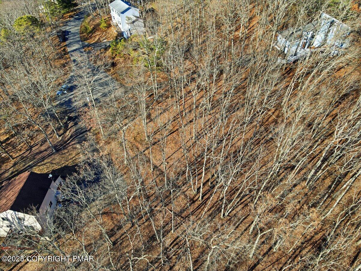 7 Exeter Court Bushkill, PA 18324 - Photo 6 of 15 a view of a tree