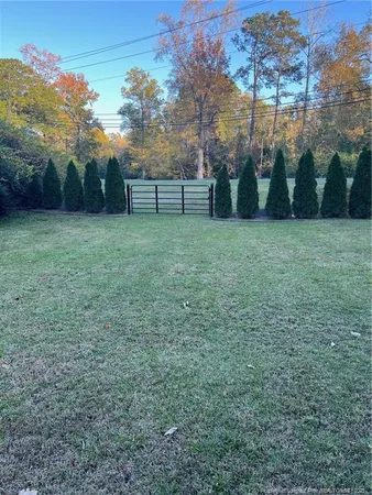 a view of park with large trees
