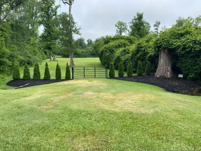 a view of a back yard