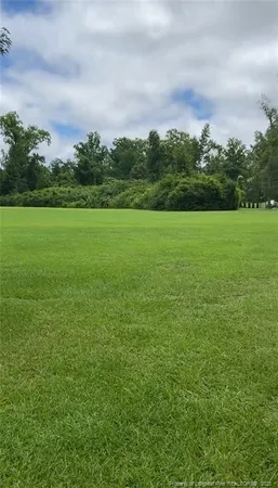 a view of a field with an trees in the background