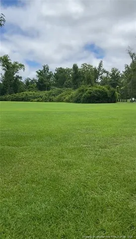 a view of a field with an trees in the background