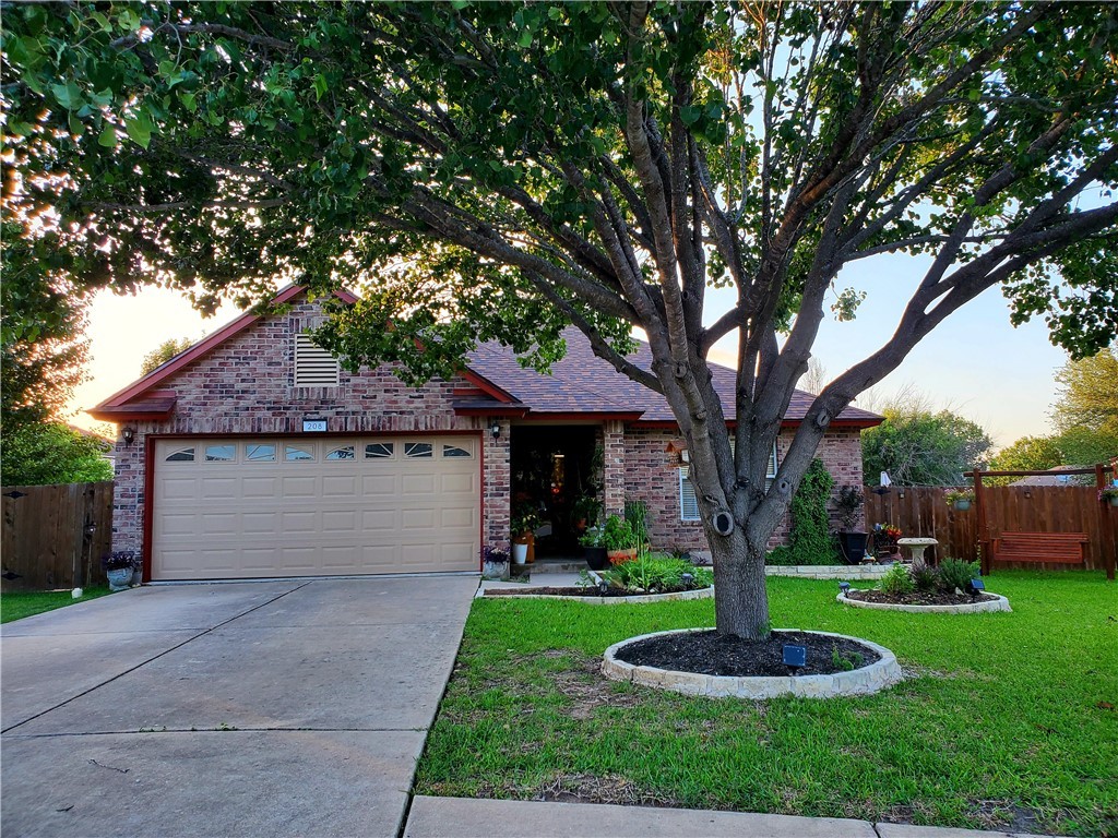 208 Sil Cove Leander, TX 78641 - Photo 1 of 1 a front view of house with yard and green space