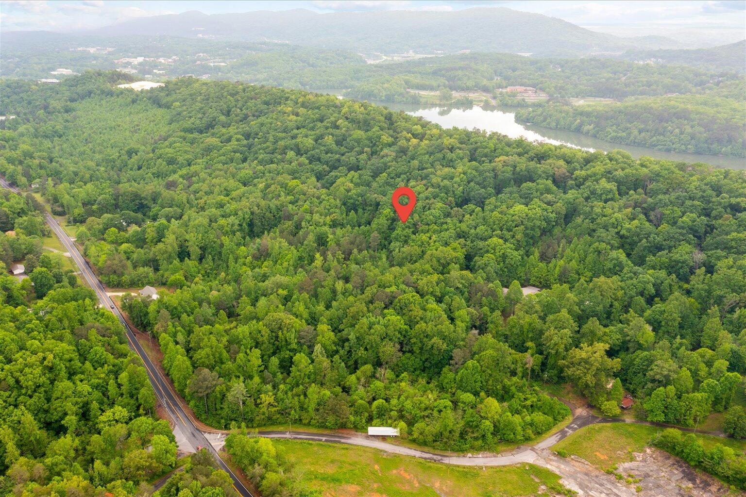 0 Reed Road Dalton, GA 30720 - Photo 3 of 6 4-4