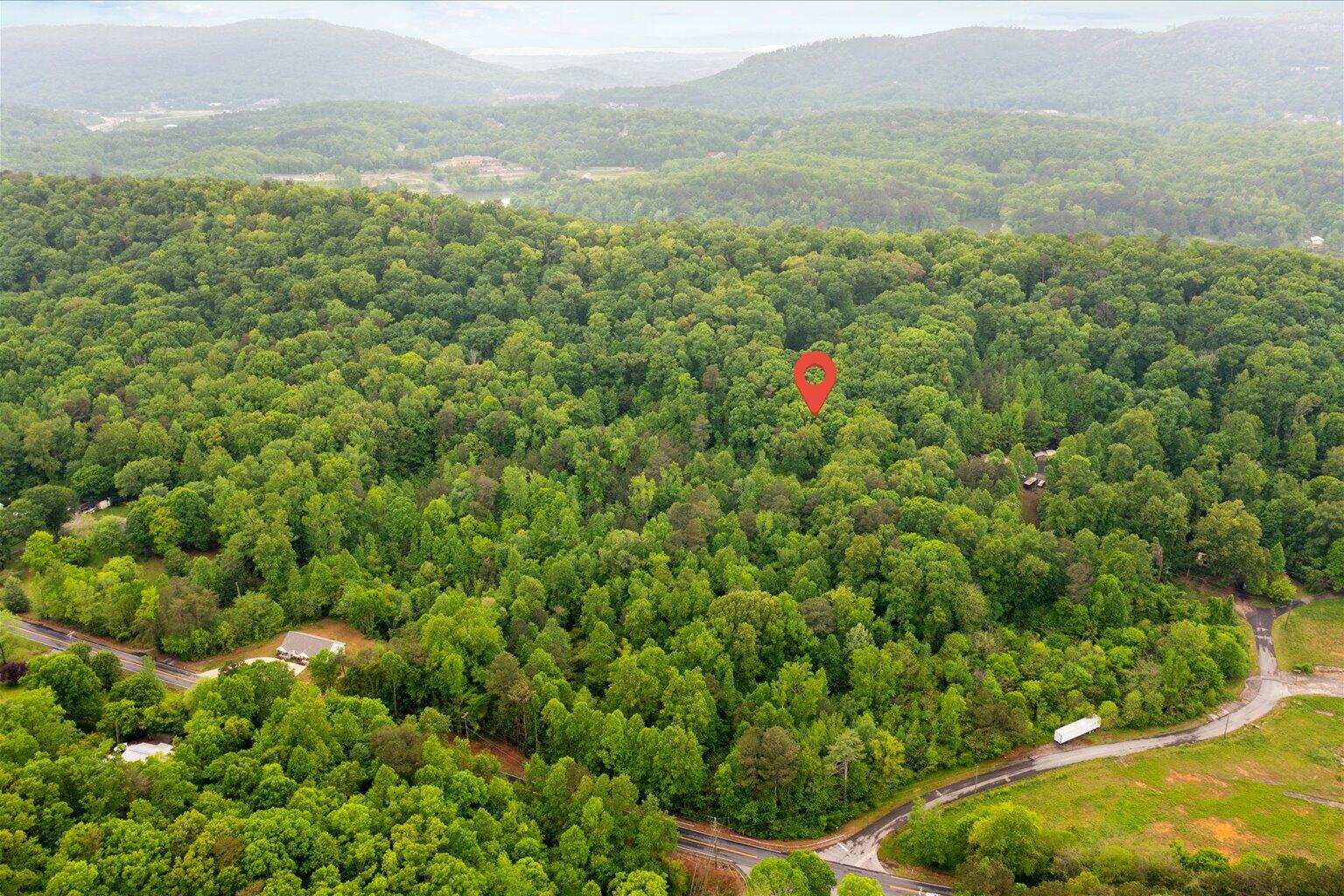 0 Reed Road Dalton, GA 30720 - Photo 4 of 6 5-5