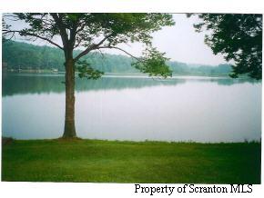0 Schooley Pond Road Springville, PA 18844 - Photo 3 of 3 a view of a lake with a big yard and potted plants