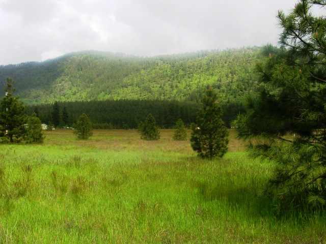 1086 Williams Lake Road Evans, WA 99126 - Photo 1 of 6