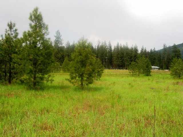 1086 Williams Lake Road Evans, WA 99126 - Photo 2 of 6