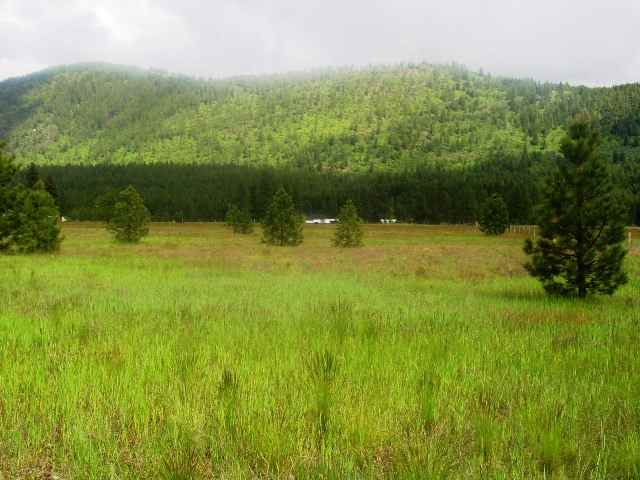 1086 Williams Lake Road Evans, WA 99126 - Photo 3 of 6