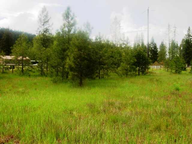 1086 Williams Lake Road Evans, WA 99126 - Photo 4 of 6
