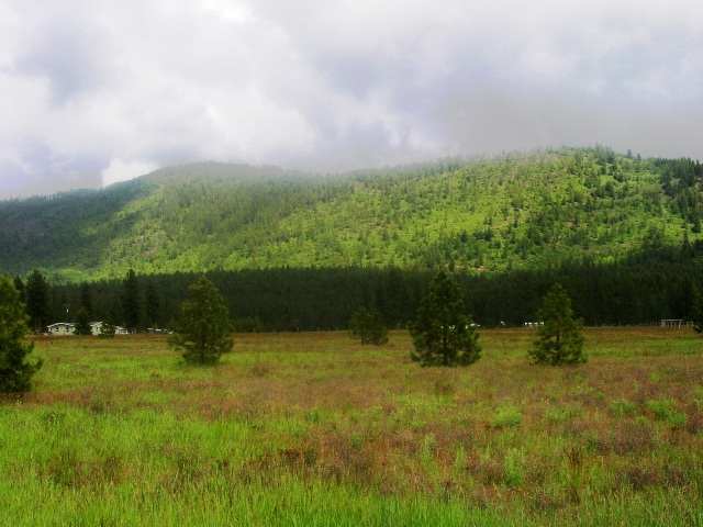 1086 Williams Lake Road Evans, WA 99126 - Photo 5 of 6