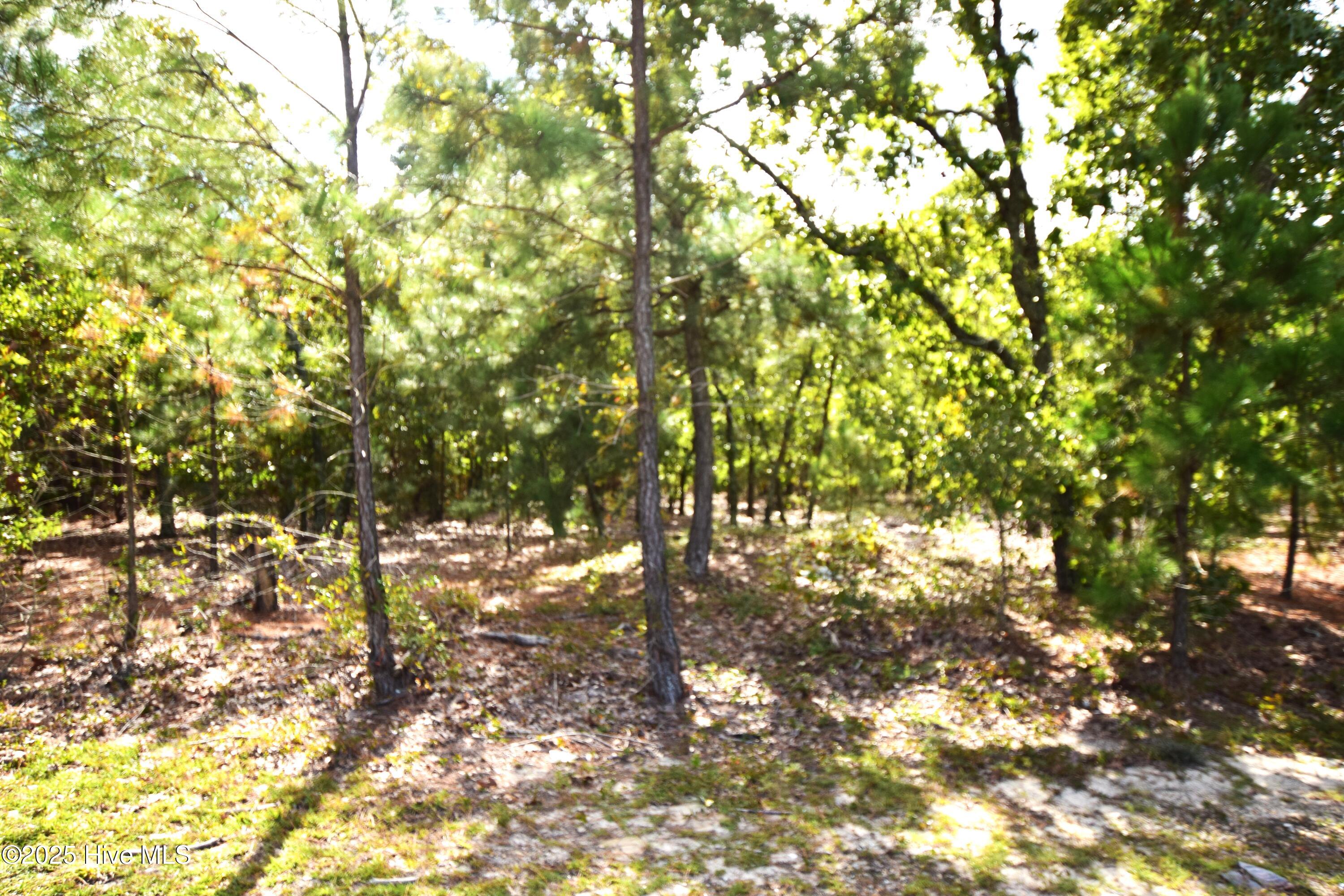 1035 Mill Road Jackson Springs, NC 27281 - Photo 2 of 5 Mill Road