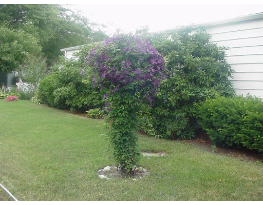 31 Longboat Road, Unit 31 Wareham, MA 02576 - Photo 13 of 14 a view of a garden with a building