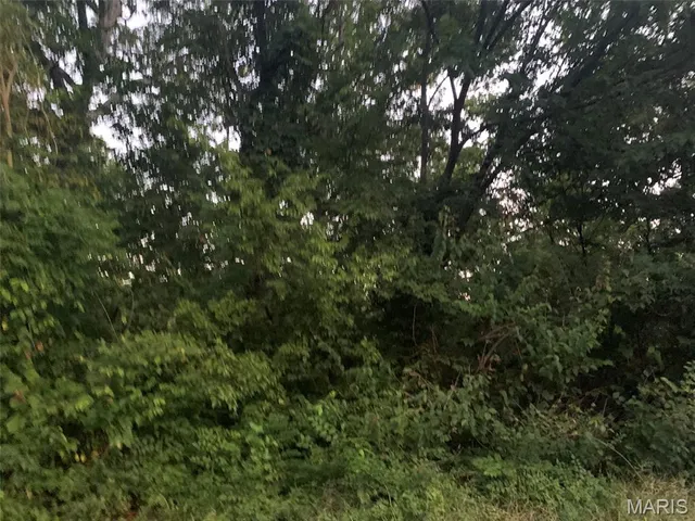 $35,000 | 2-acres Ferdinand Street, St. Clair, MO 63077