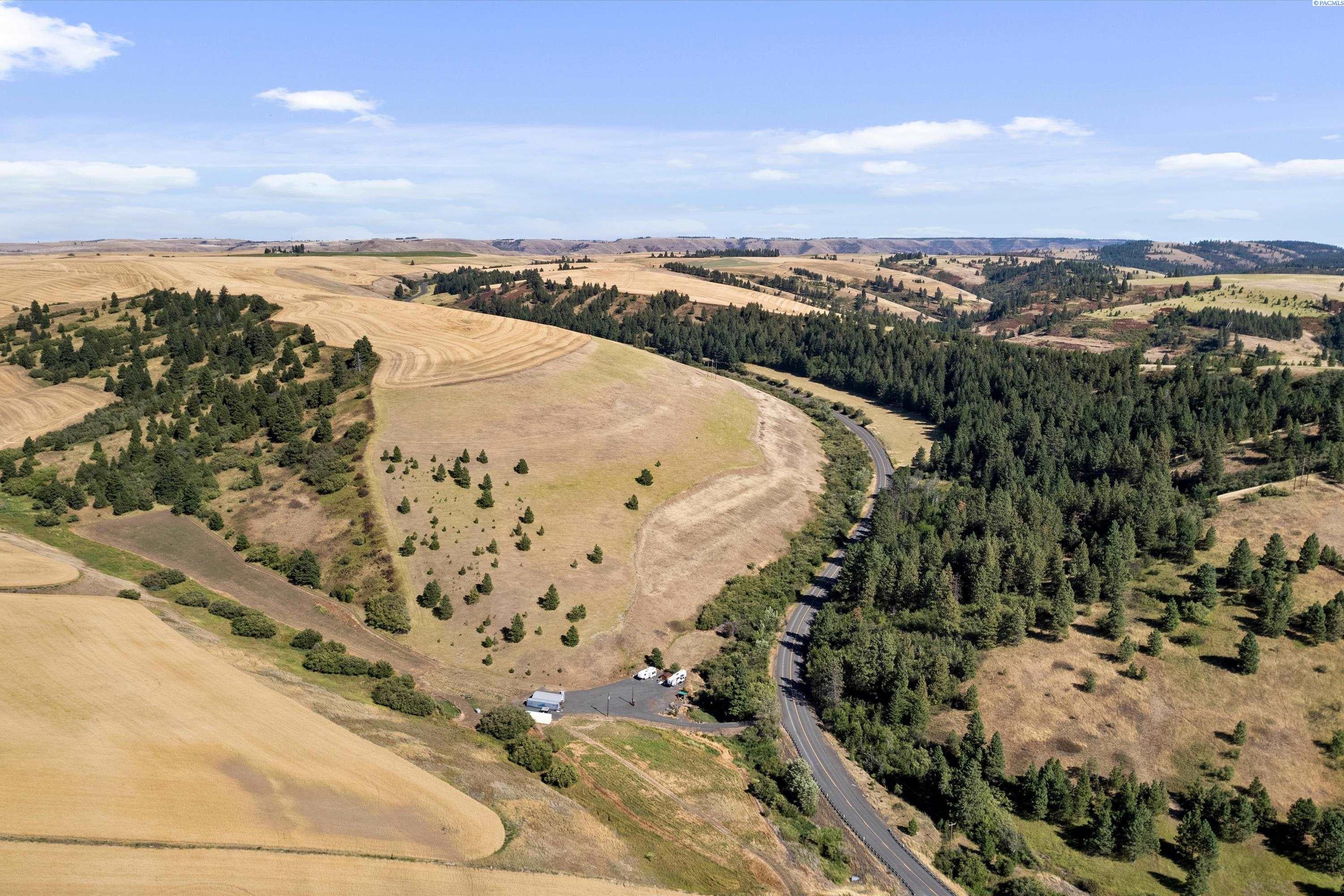 1241 Patit Road Dayton, WA 99328 - Photo 3 of 48 Gallery Image 3