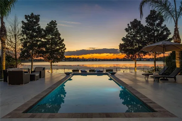 a view of a backyard with a garden and plants
