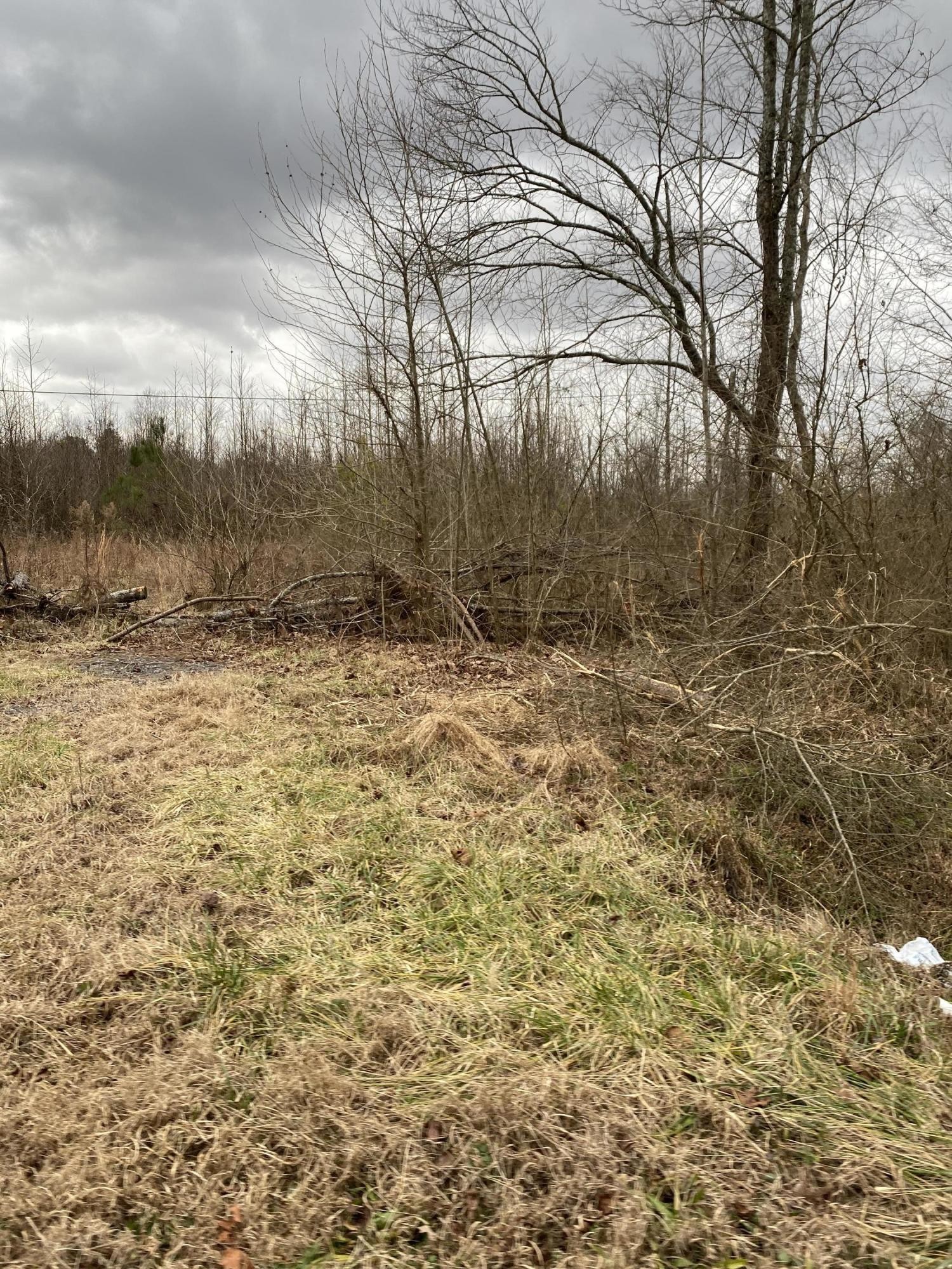 0 Norton Bridge Road Chatsworth, GA 30705 - Photo 6 of 10 Gallery Image 6