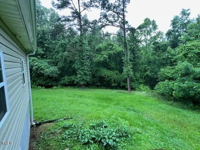 7710 Leasburg Road Roxboro, NC 27574 - Photo 21 of 24 a view of yard with green space