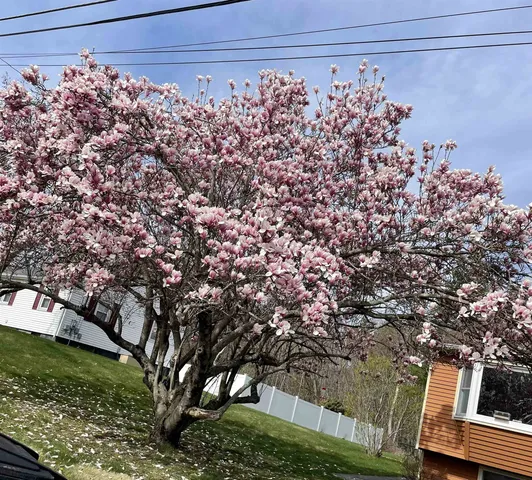 $625,000 | 7 Brentwood Avenue, Salem, NH 03079