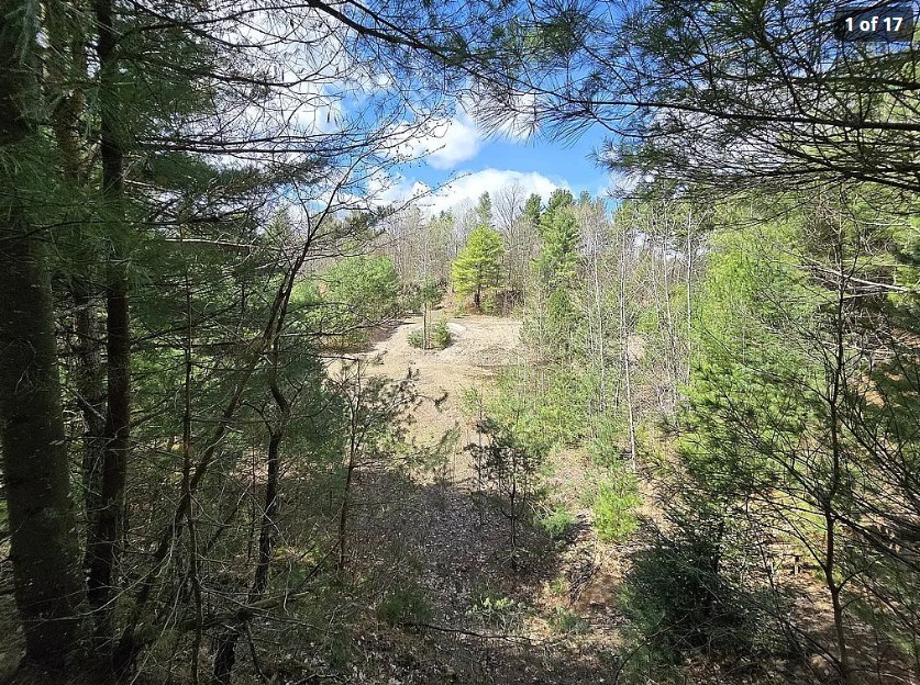 13612 Lewisburg Road Natural Bridge, NY 13665 - Photo 11 of 17 Gallery Image 11