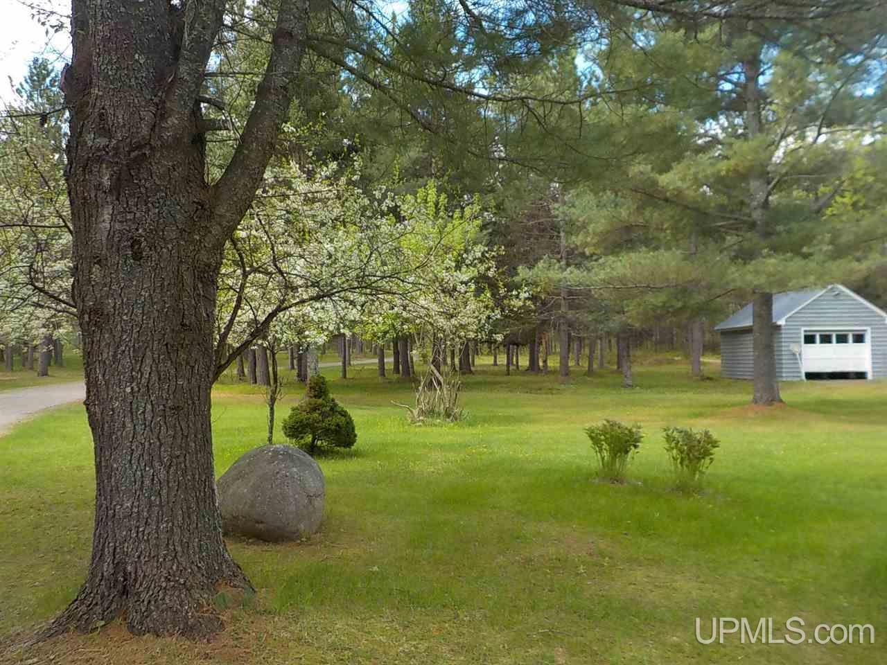 378 Paint River Road Crystal Falls, MI 49920 - Photo 62 of 66 Gallery Image 62