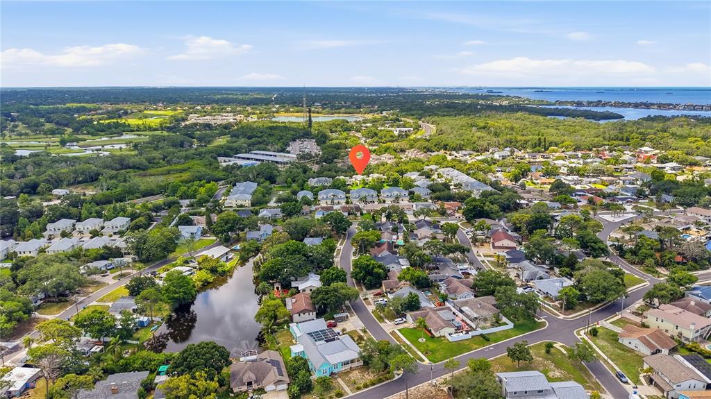 497 Harbor Ridge Drive Palm Harbor, FL 34683 - Photo 47 of 52