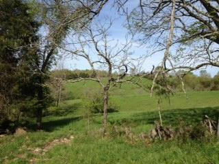 2 Keefer Road Corinth, KY 41010 - Photo 23 of 27