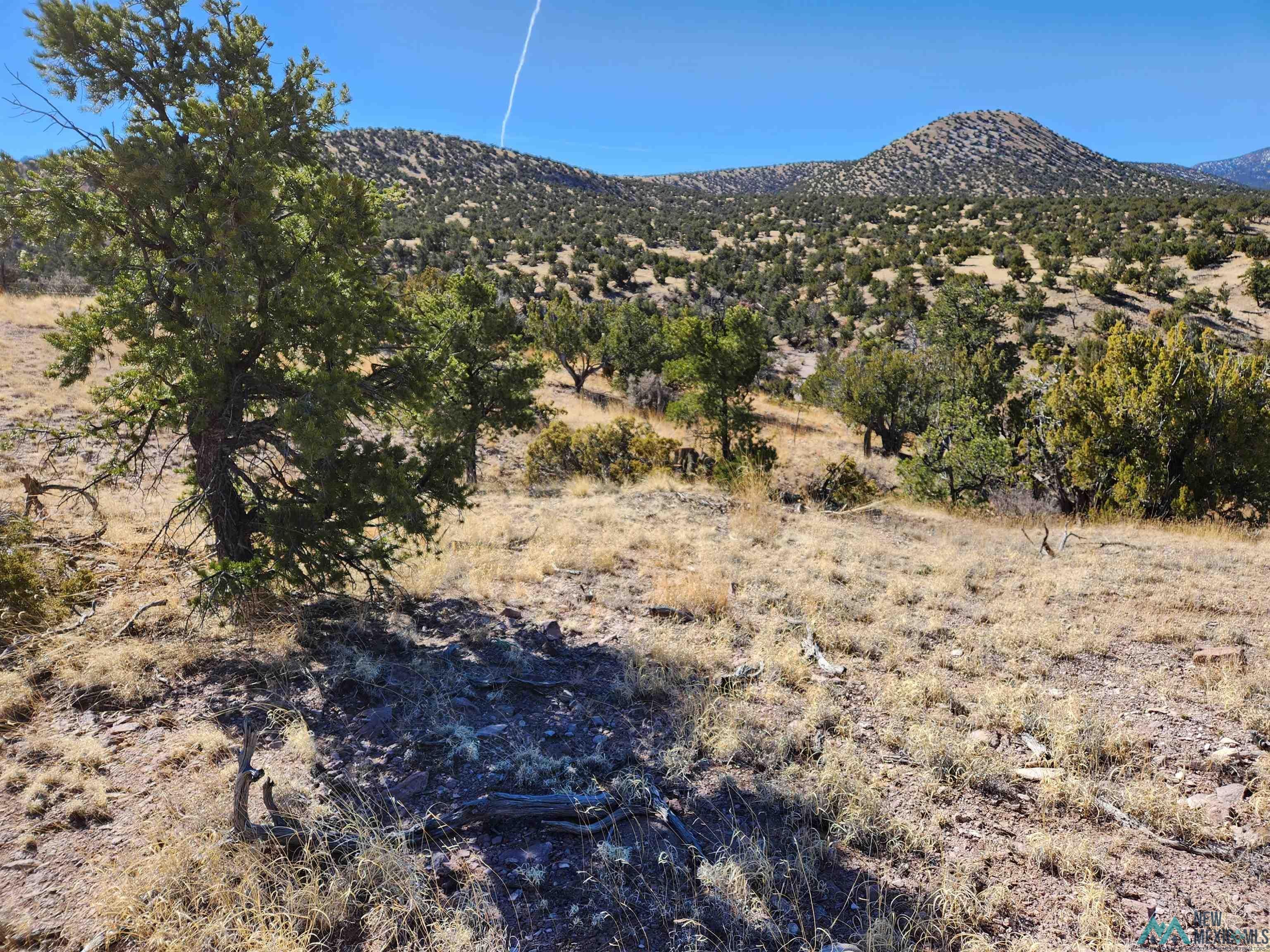 0 Tbd Nm 169 State Road Magdalena, NM 87825 - Photo 11 of 14
