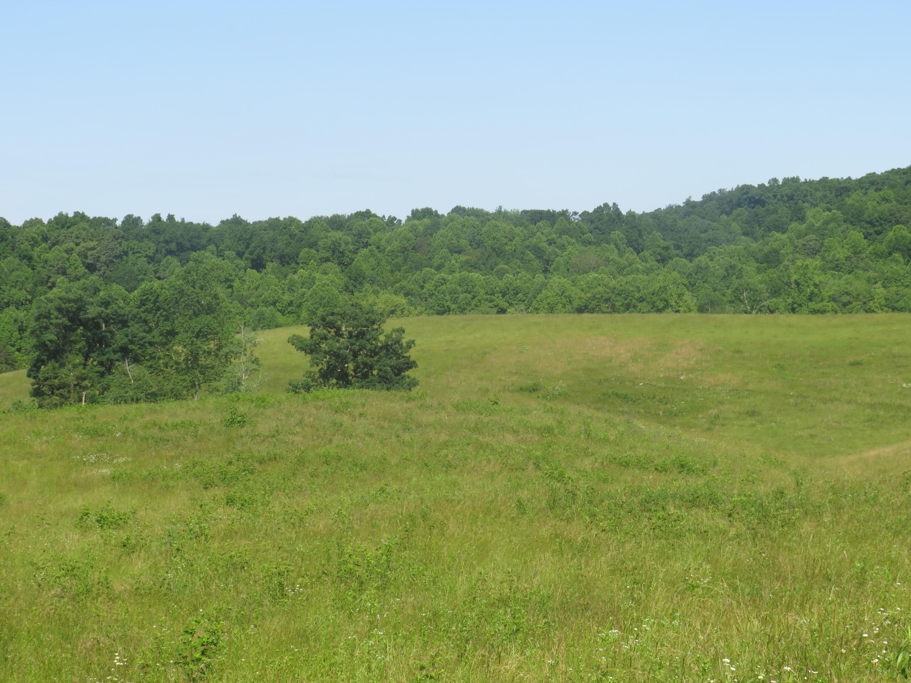 9999 Harris Cemetery Road London, KY 40741 - Photo 26 of 27 IMG_4104