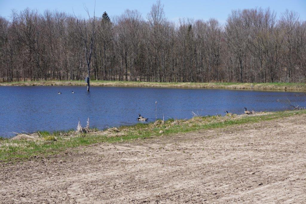 60-acres Meier Road Ogema, WI 54459 - Photo 15 of 18 Gallery Image 15