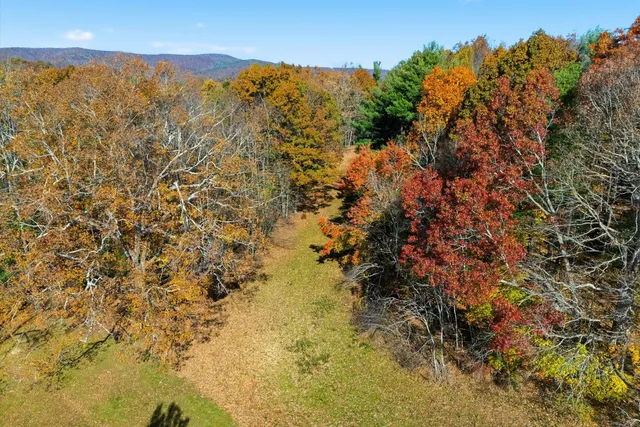 a view of a yard of a building