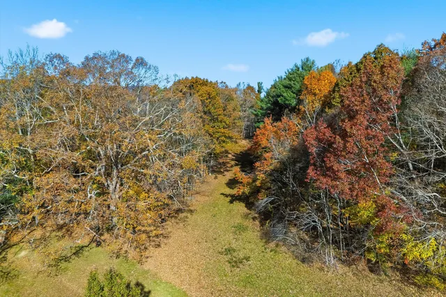 an aerial view of residential houses with outdoor space and mountain view